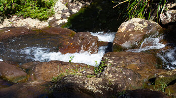 sprudelnd fließt das Wasser über die Felsstufen an den Alexandra Falls auf Mauritius
