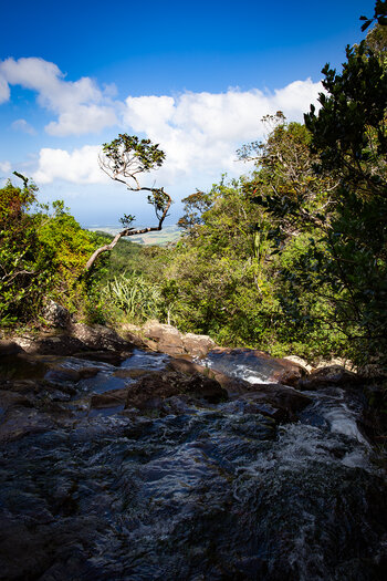 Felskante der Alexandra Falls mit Blick zur Küste