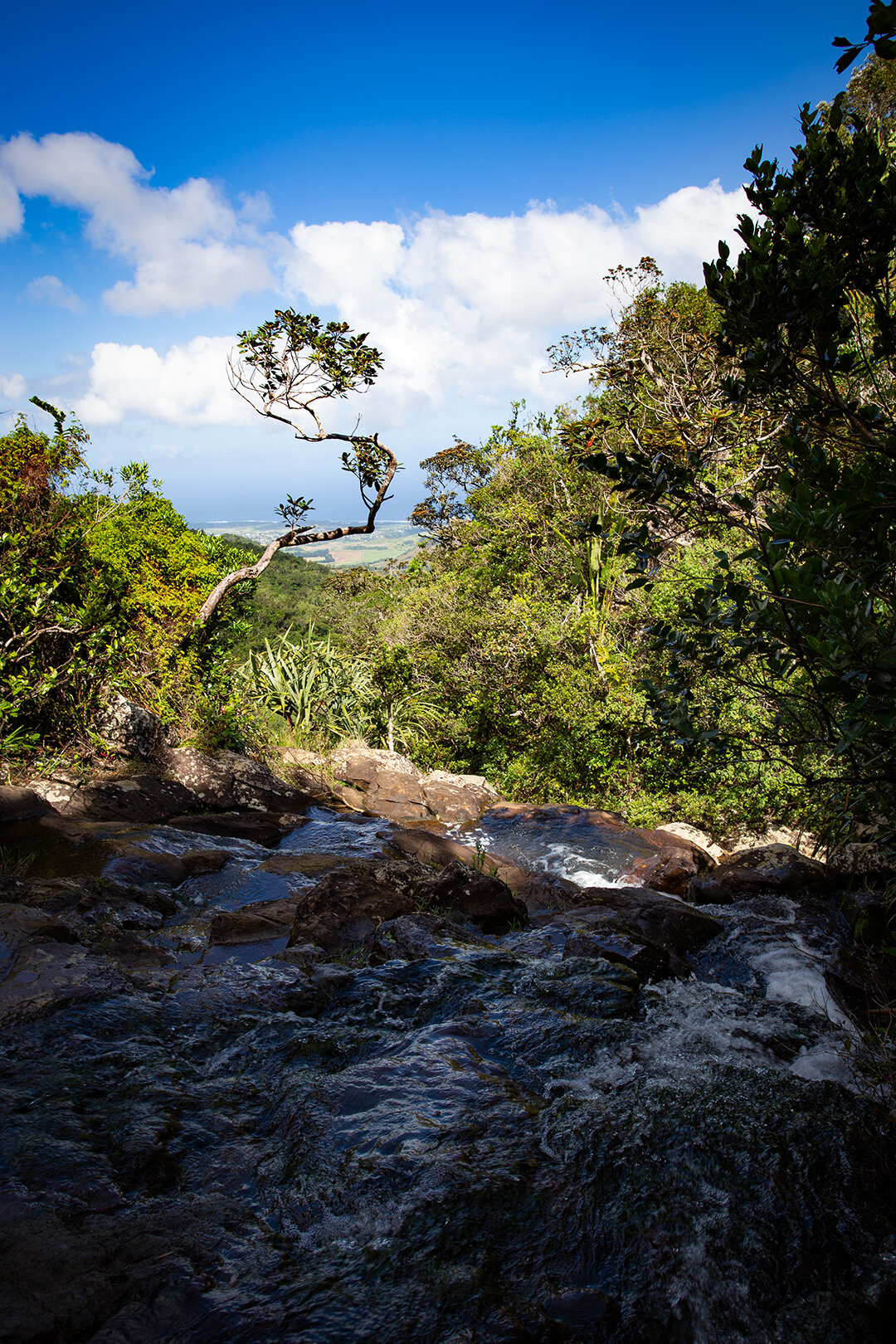 Felskante der Alexandra Falls auf Mauritius mit Blick zur Küste Felskante der Alexandra Falls mit Blick zur Küste