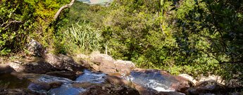 Blick auf die Fallkante der Alexandra Falls im Black River Gorges Nationalpark