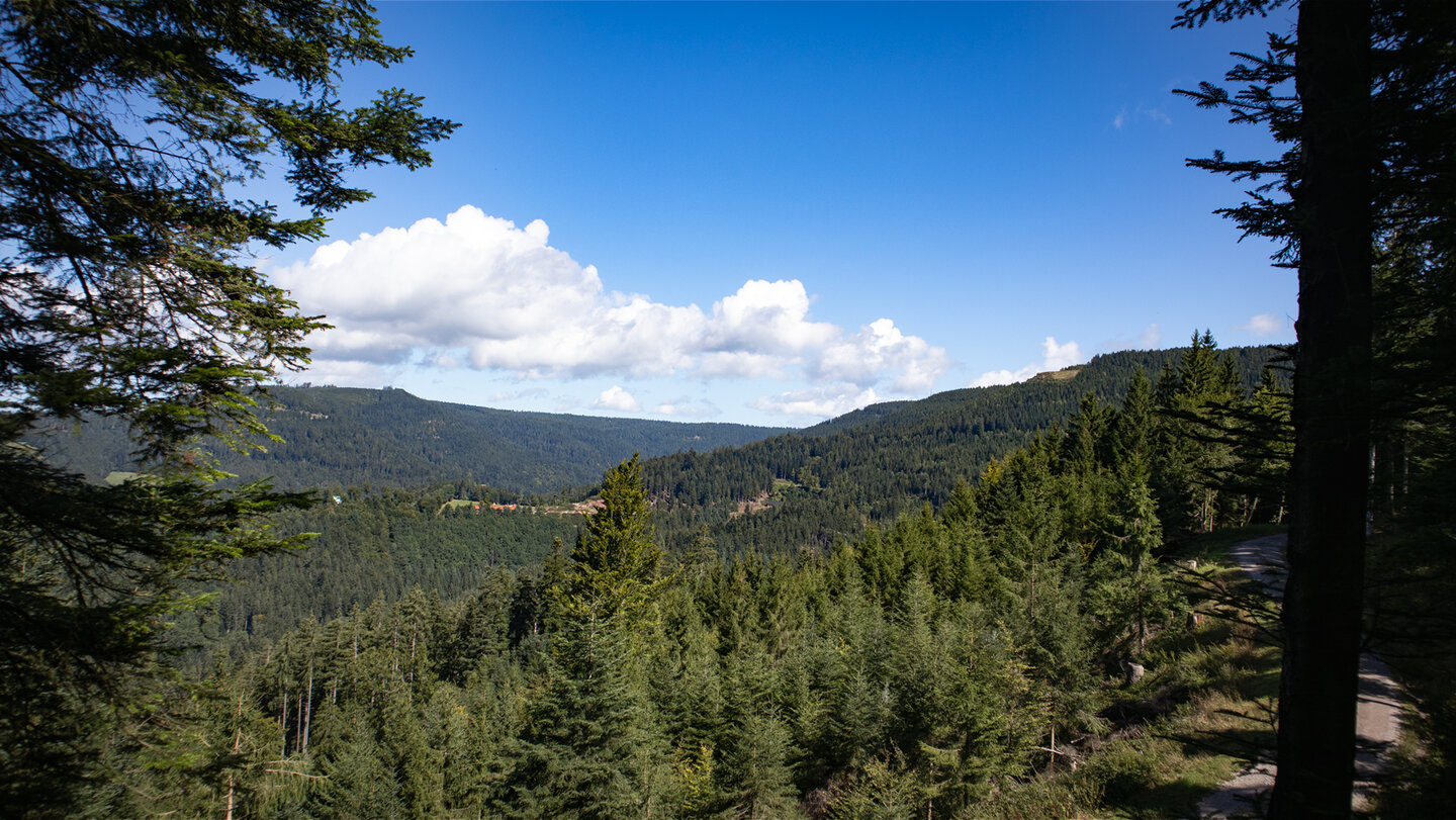 Panoramaausblick hinüber nach Dollenberg bei Bad Griesbach