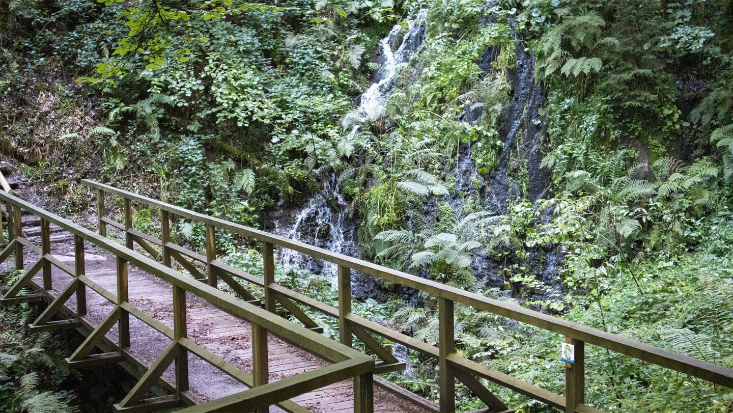 eine Holzbrücke hilft den Wandernden über den Fluss beim südlichen Griesbacher Wasserfall
