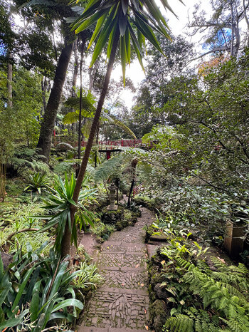 Weg im asiatischen Teil des Monte Palace Tropical Garden