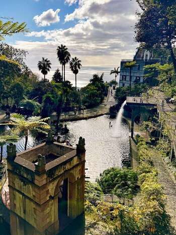 Blick auf den Teich im Monte Palace Tropical Garden mit Atlantik im Hintergrund