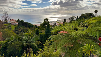 Ausblick nach Funchal über den Monte Palace Tropical Garden hinweg
