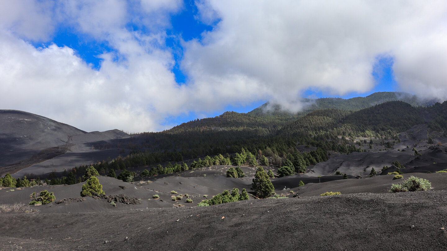 Lapilifelser des Tajogaite bei las Manchas