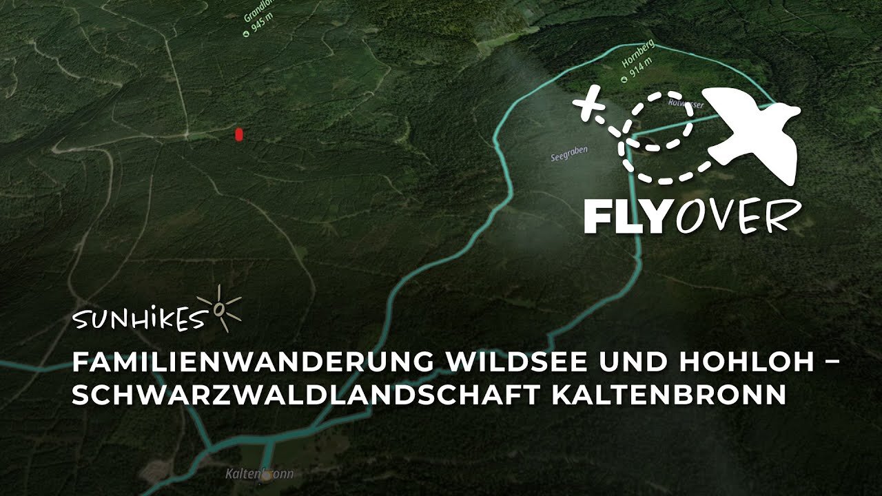Familienwanderung Wildsee und Hohloh: Naturerlebnis auf dem Kaltenbronn im Schwarzwald – Flyover