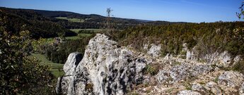 Karger Kalkfelsen am Stiegelesfelsen, im Hintergrund bewaldete Hügel des Donaubergland.