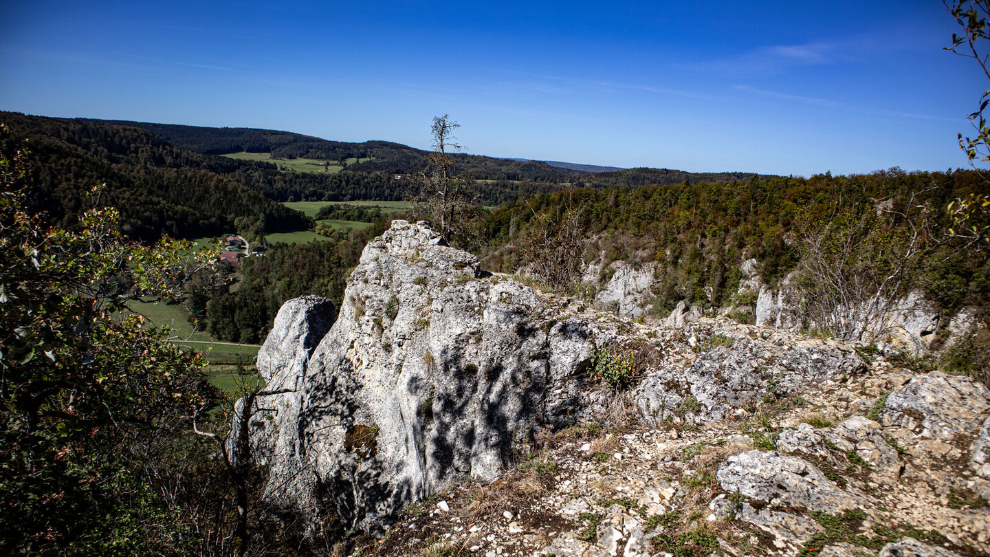 Karger Kalkfelsen am Stiegelesfelsen, im Hintergrund bewaldete Hügel des Donaubergland.