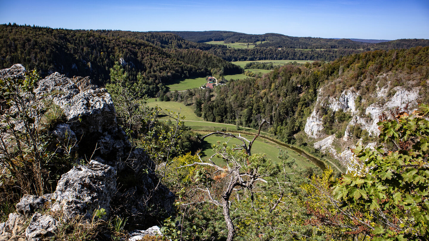 Ausblick vom Stiegelesfelsen über das bewaldete Donautal Richtung Fridingen an der Donau.