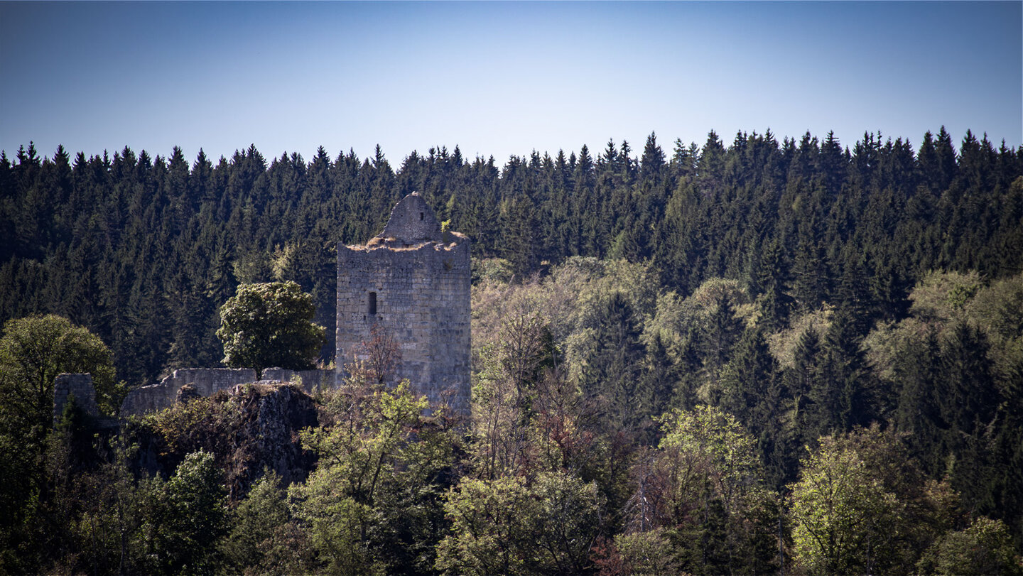 Ruine Kallenberg mit erhaltenem Turm, umgeben von Wald im Oberen Donautal.