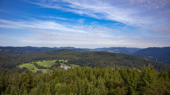 Blick vom Lehenkopfturm bis zum Feldberg