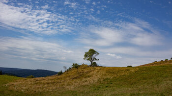 Wanderung über Viehweiden bei Ibach