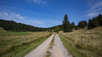 der Schluchtensteig verläuft auf dem Marksteinweg