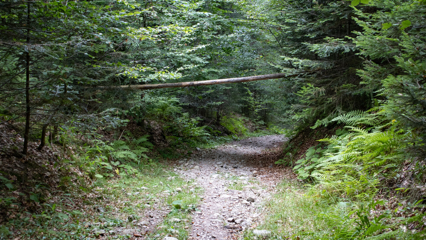 steile Abwanderung in die Hochwehraschlucht