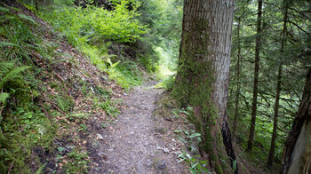 Wanderpfad durch die Hochwehraschlucht