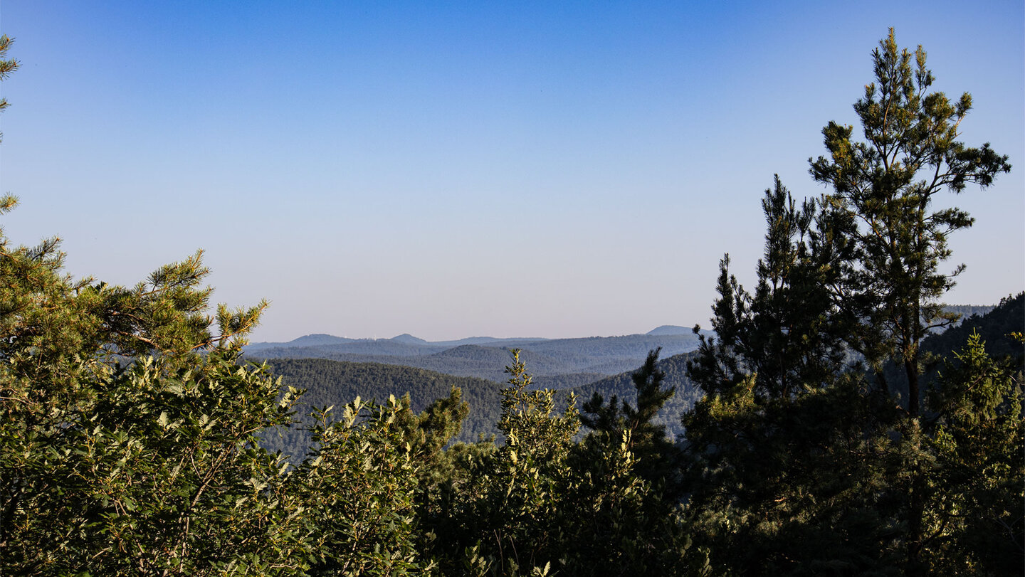 Panorama vom Buhlsteingrat über den bewaldeten Wasgau.