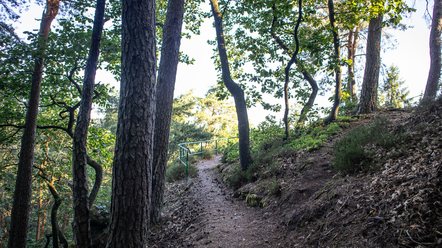 Wanderpfad zum ersten Aussichtspunkt am Buhlsteingrat.