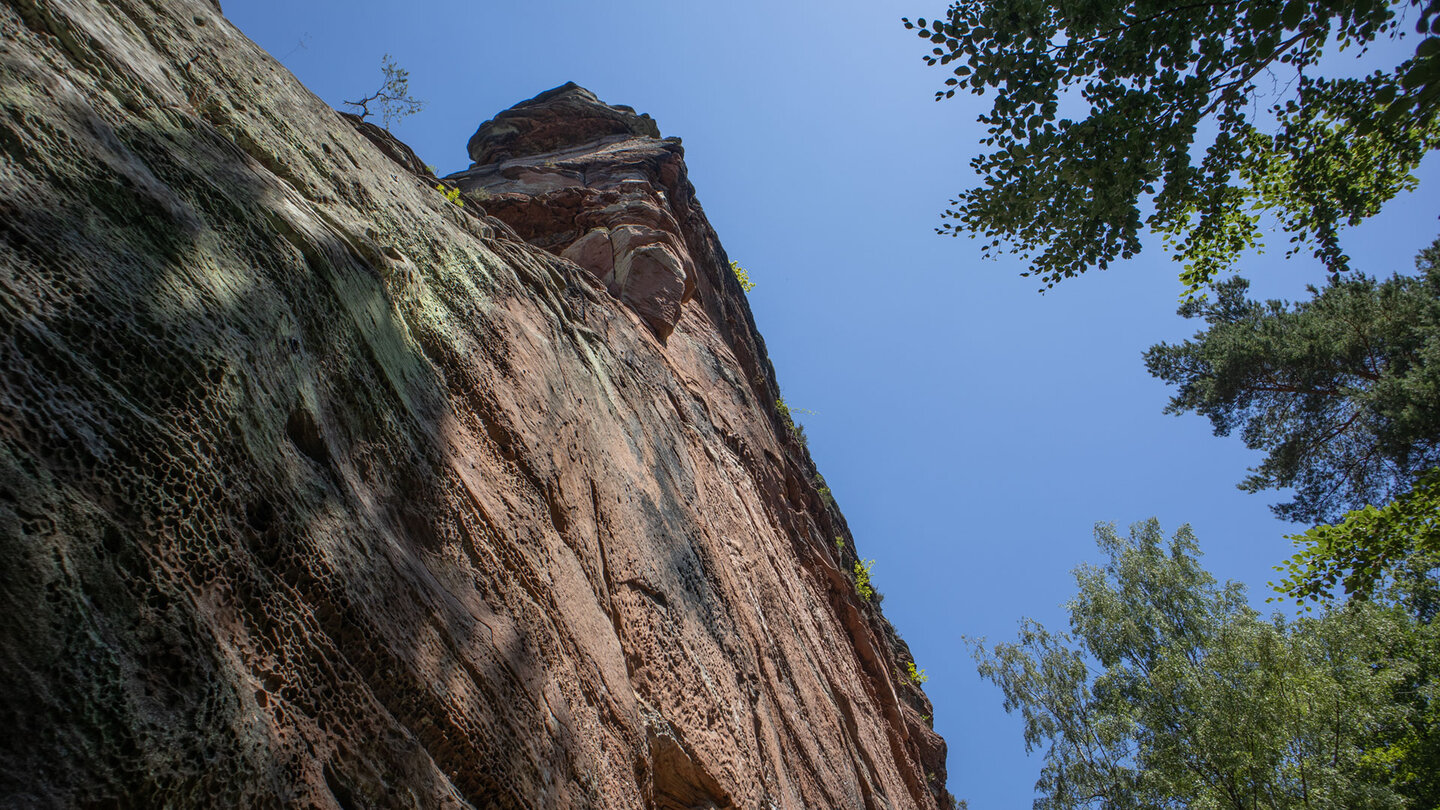Erodierter Buntsandstein am Pferchfeldturm am Langwalderfelsen.