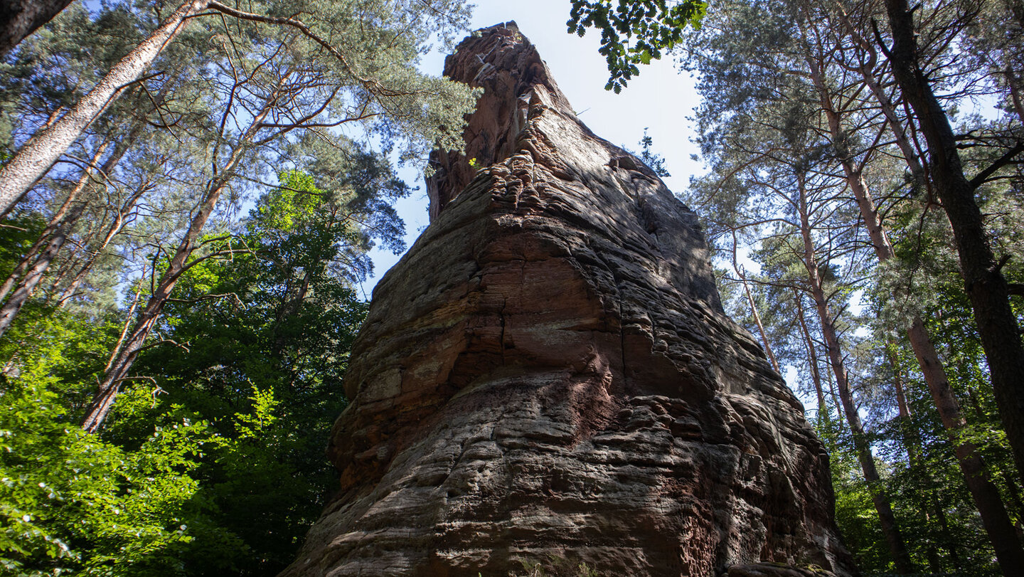 Wie ein steinerner Wächter erhebt sich der Pferchfeldturm aus dem Wald.