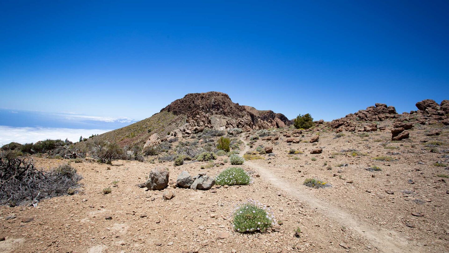 der Gipfel des Roque del Almendro vom Nationalpark Wanderweg 31