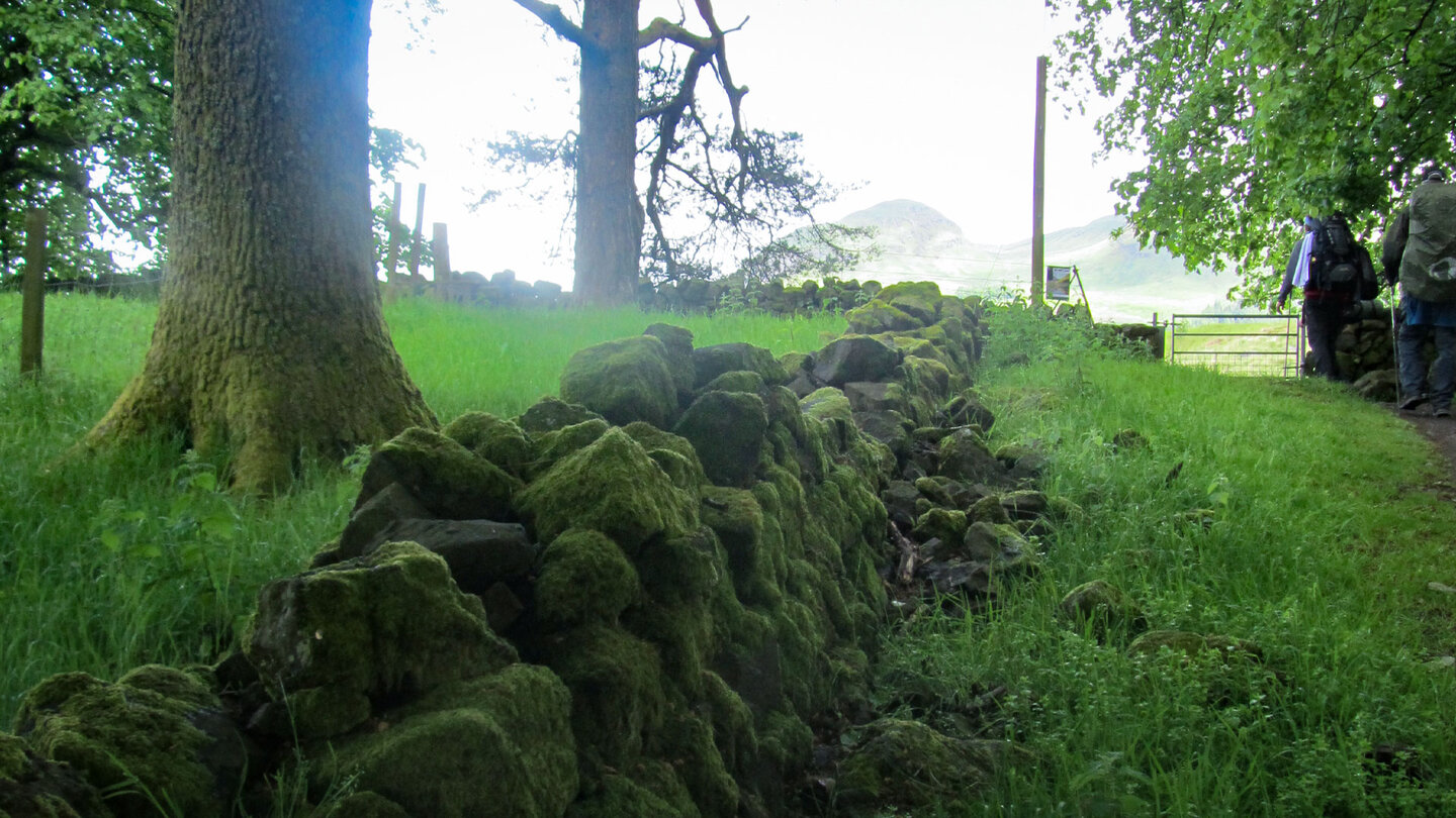 Steinmauer am Wanderweg