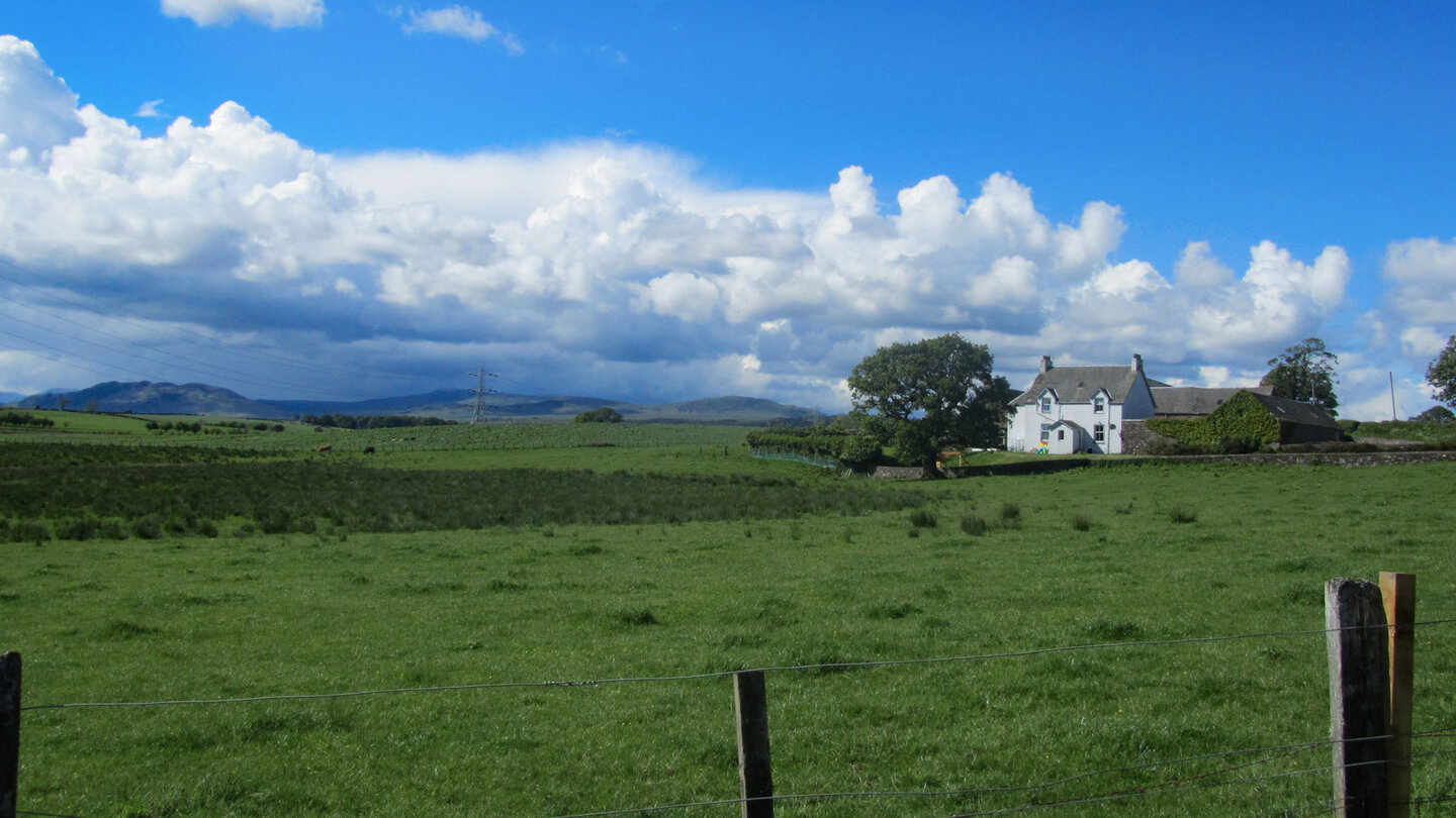 ein Cottage inmitten grüner Weiden