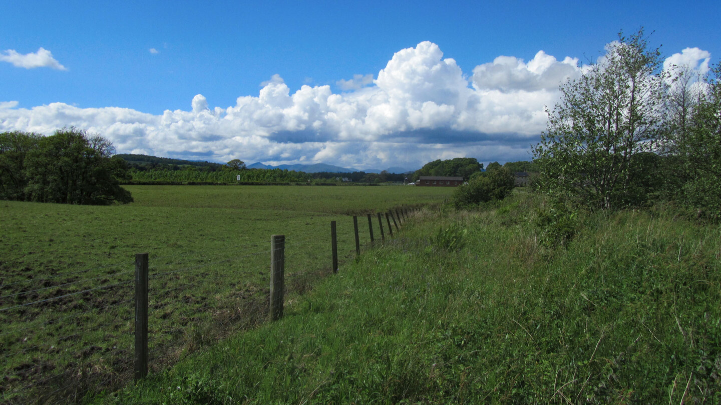 Wiesenlandschaft entlang des West Highland Way