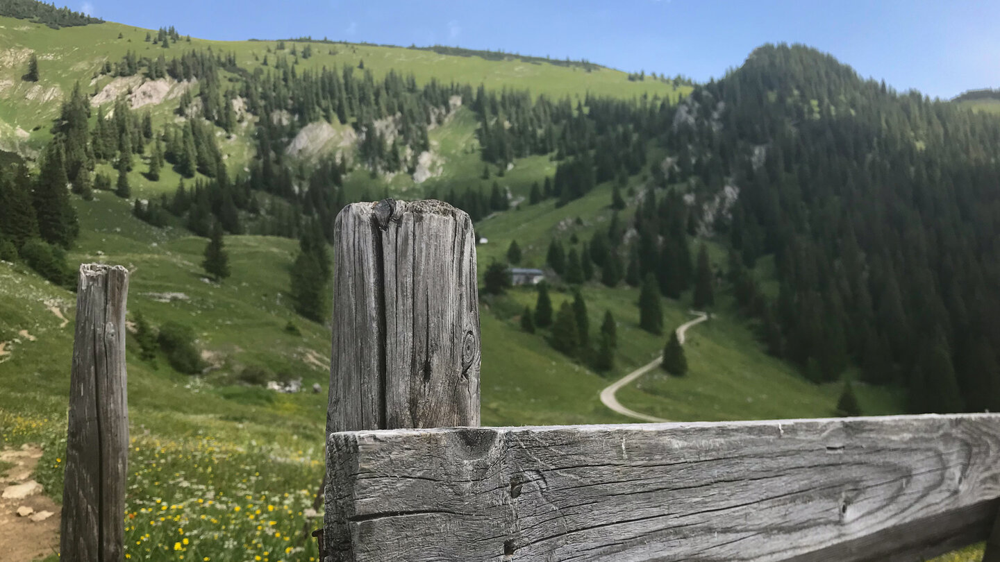 an der Oberen Schönfeldalm an der Oberen Schönfeldalm