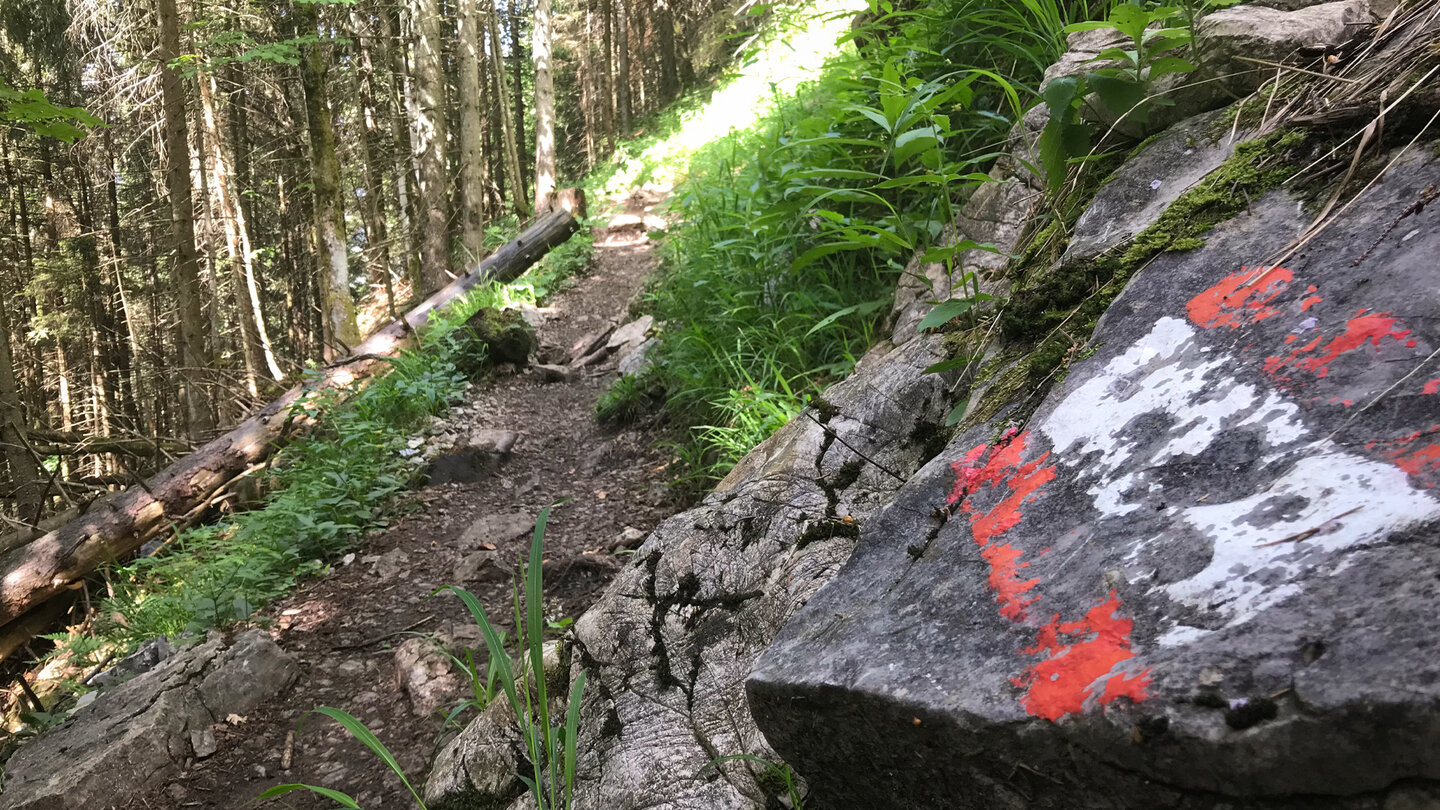 Wegmarkierung am Wegesrand Wegmarkierung am Wegesrand