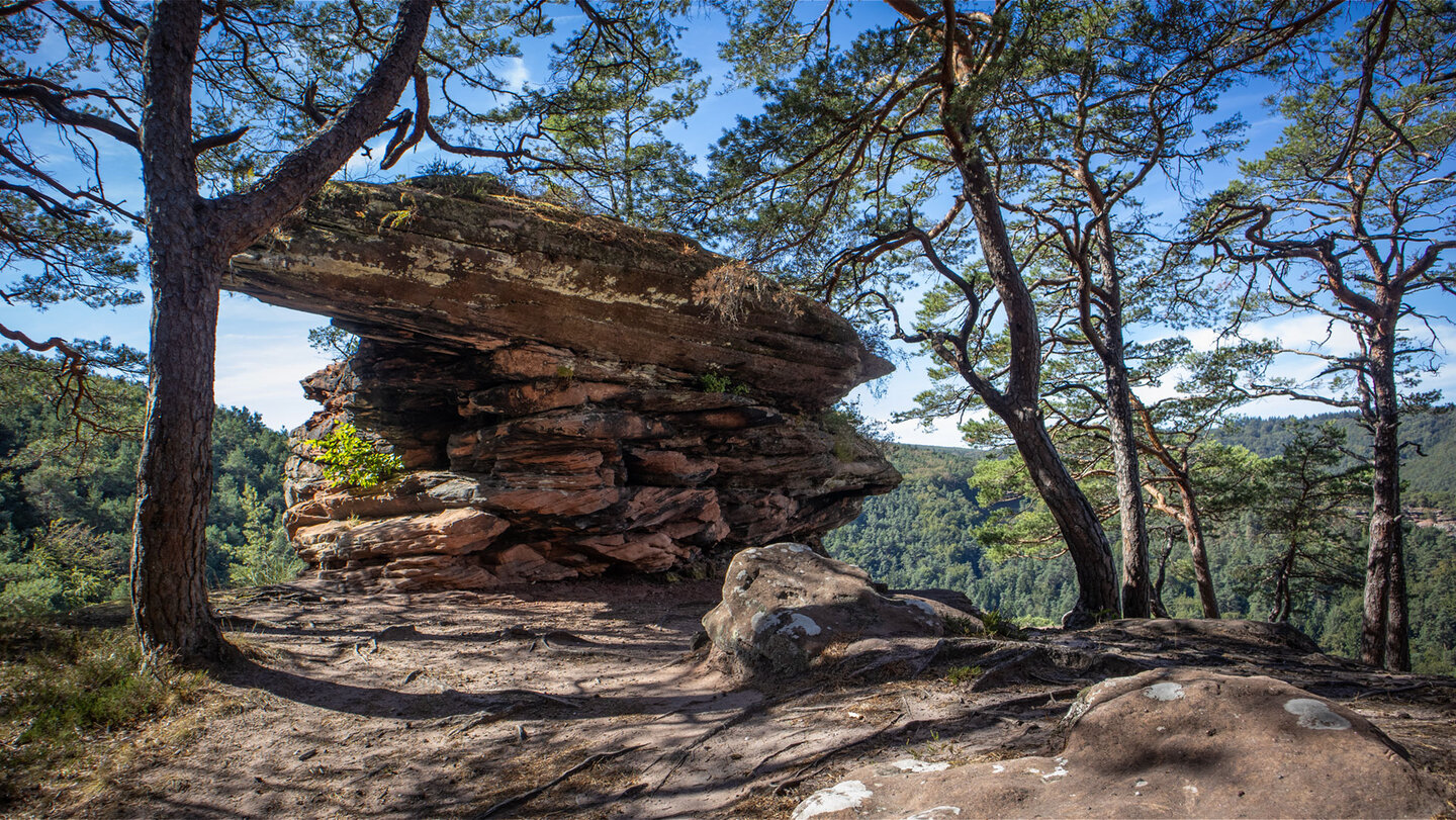 Weit auskragender Buntsandsteinblock am Kahlen Felsen mit geschichteten rötlichen Schichten, Kiefern links und rechts und Waldpanorama im Hintergrund