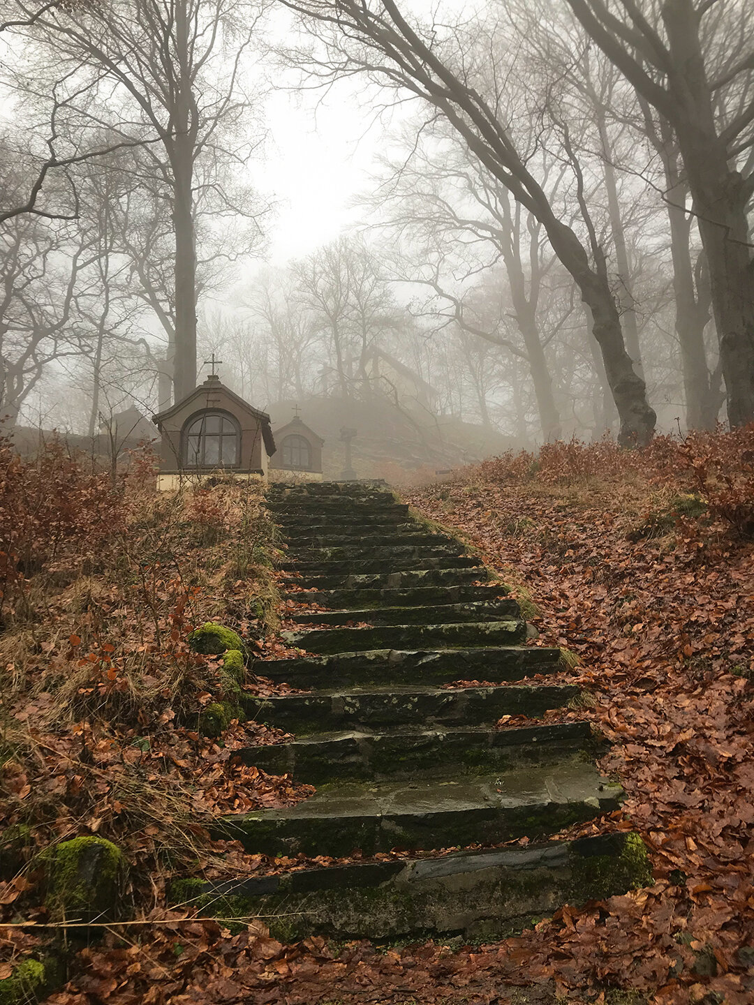Stufen auf den Kreuzweg zum Battenstein Stufen auf den Kreuzweg zum Battenstein