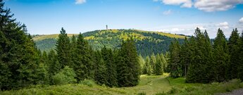 Ausblick entlang der Wanderung zum Feldbeg, dem höchsten Berg im Schwarzwald