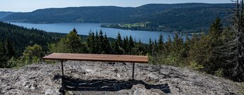 Ausblick auf den größte Schwarzwaldsee - den Schluchsee