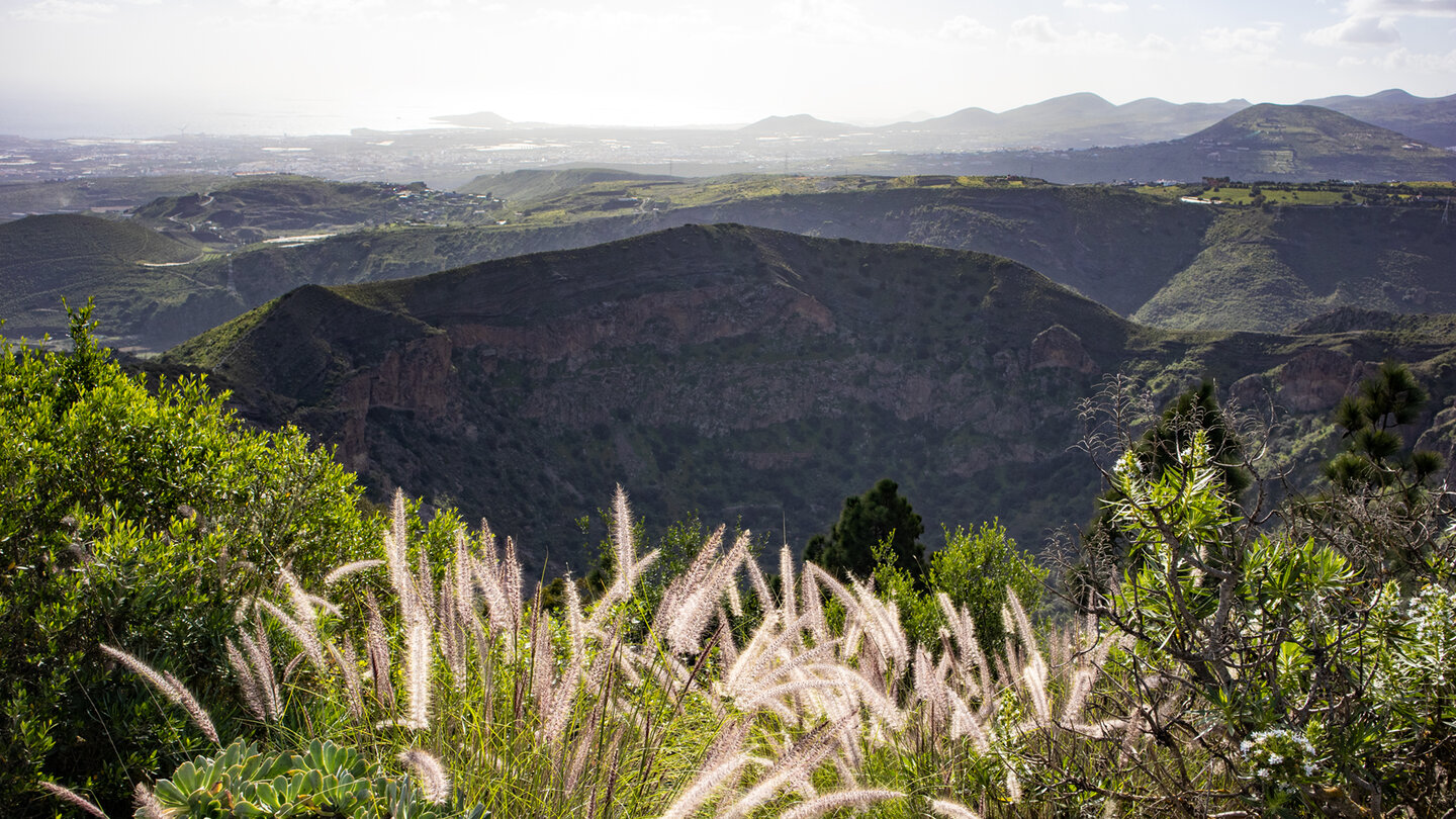 die Wanderung um die Caldera de Bandama bietet Ausblicke bis zum Atlantik Ausblick über Caldera de Bandama zum Atlantik