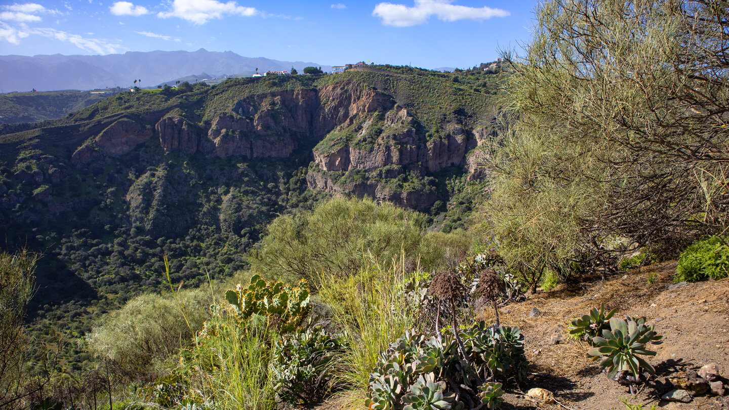 raue Felsformationen am Krater der Caldera de Bandama