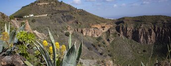 der Pico de Bandama entlang der Kraterumrundung