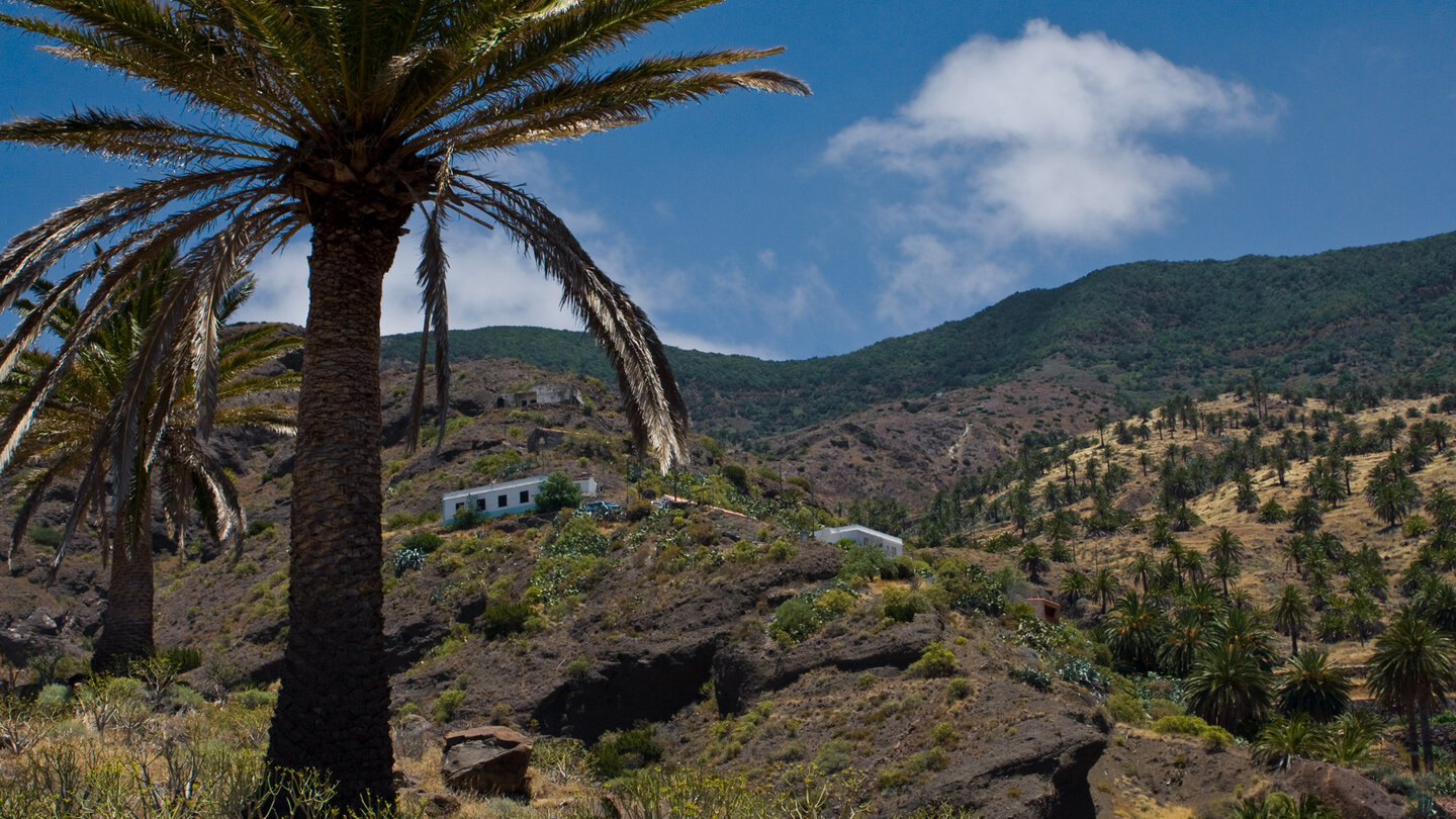 die Häuser verteilen sich über die Hänge in Tazo auf La Gomera