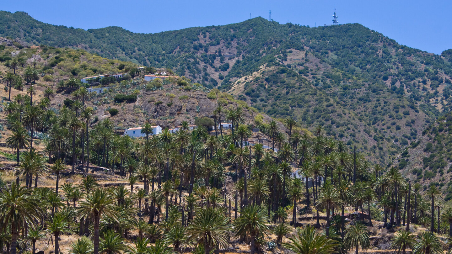 zwischen Palmenhainen liegen die Häuser in Tazo auf La Gomera