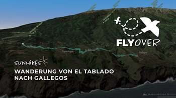 Wilder Norden La Palmas: Die gewaltige Schluchtenstrecke nach Gallegos im Flyover Video