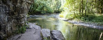 der Schluchtensteig-Wanderweg am Wutachaustritt