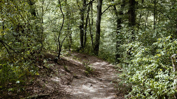 Wanderweg von Blumberg zu den Schleifenbachwasserfällen