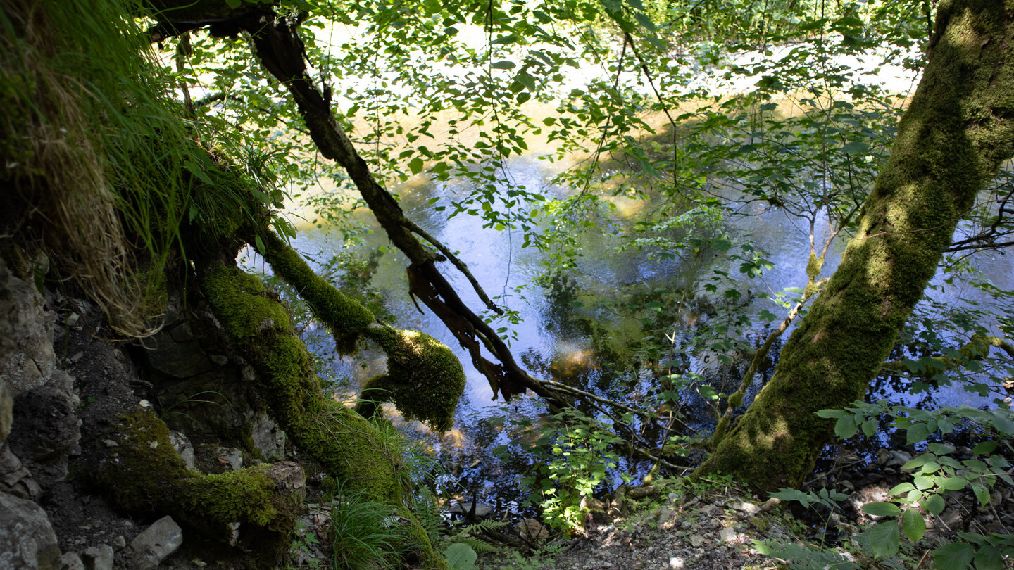 blau schimmernder Bachlauf