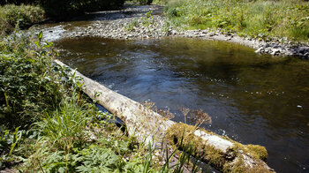 am Bachlauf der Wutach