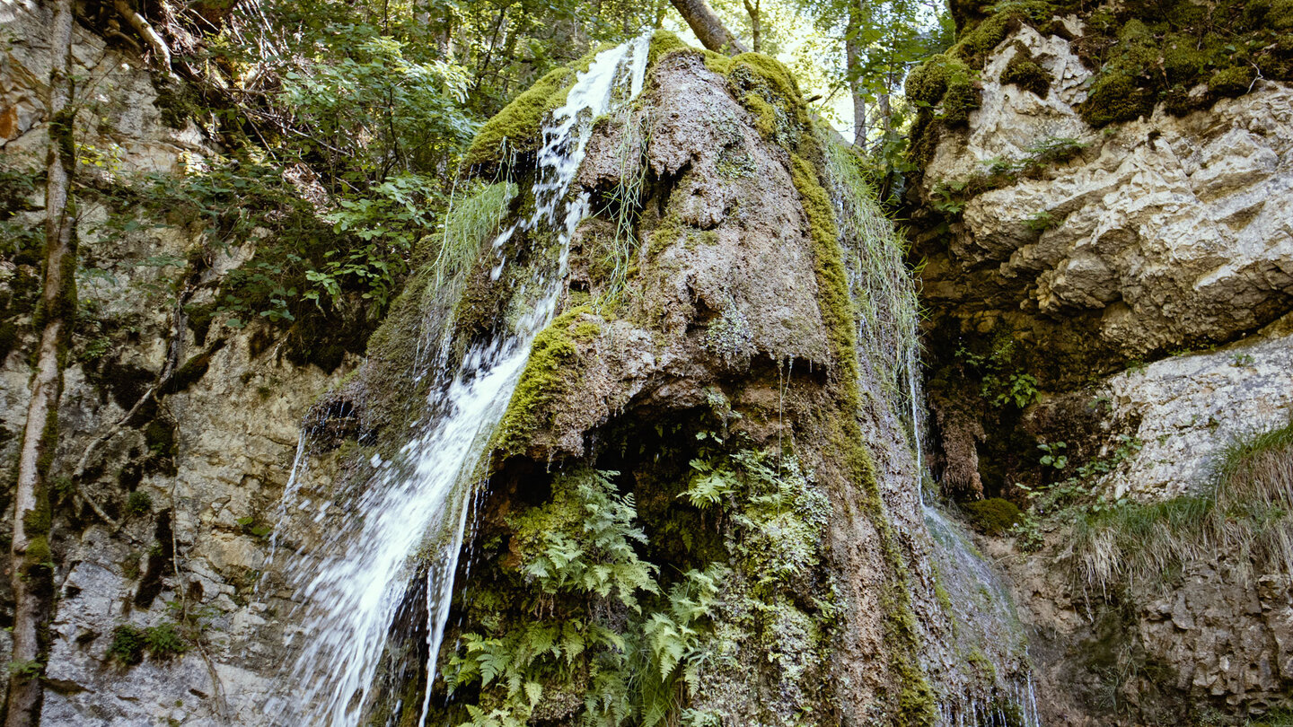 zerklüftete Felsformationen am Tannegger Wasserfall zerklüftete Felsformationen am Tannegger Wasserfall