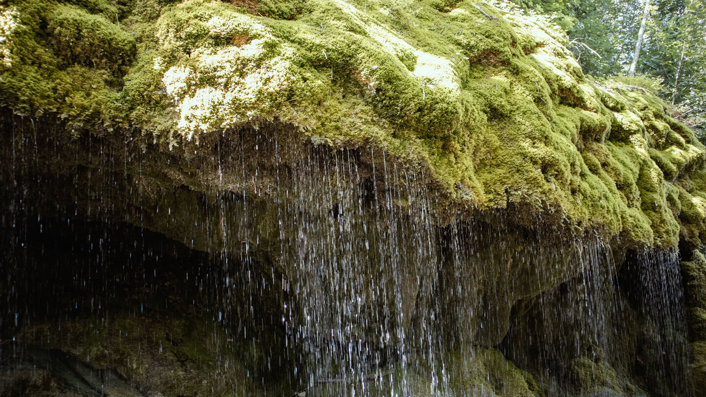 dicht bemooste Flächen am Dietfurter Wasserfall