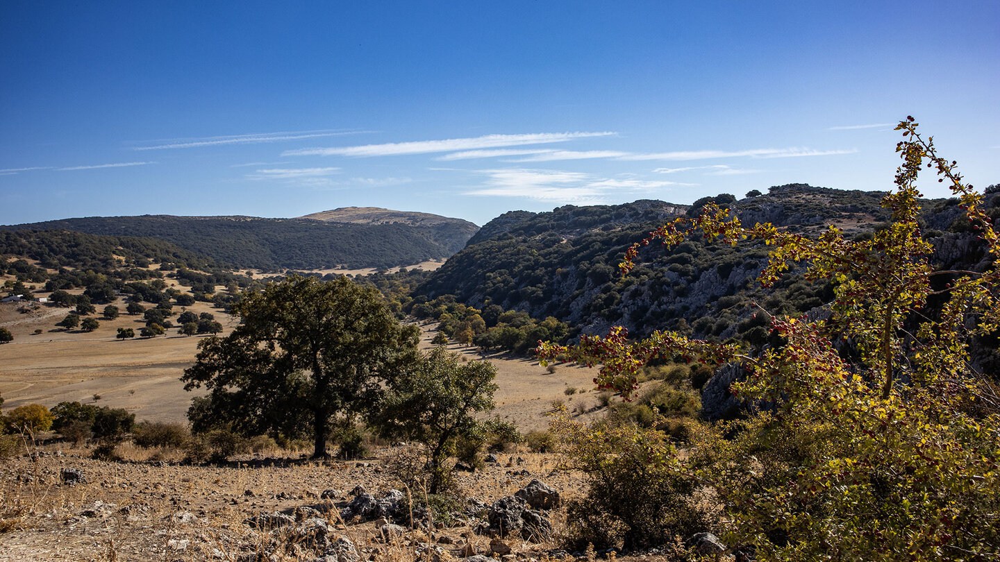 Polje de la Nava in der Sierra de Cabra