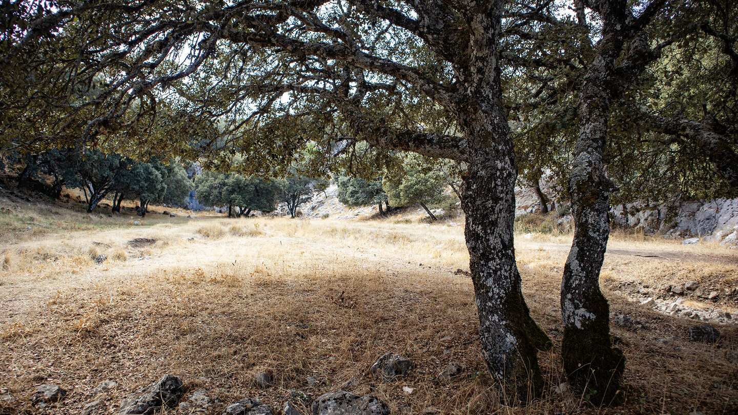 Wanderung im Tal des Fuenseca-Bachs