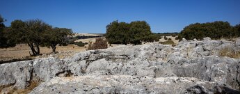 Karstfelsen auf der Polje de la Nava