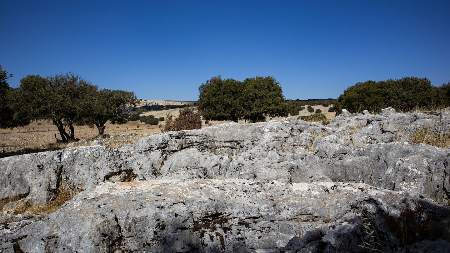 Karstfelsen auf der Polje de la Nava